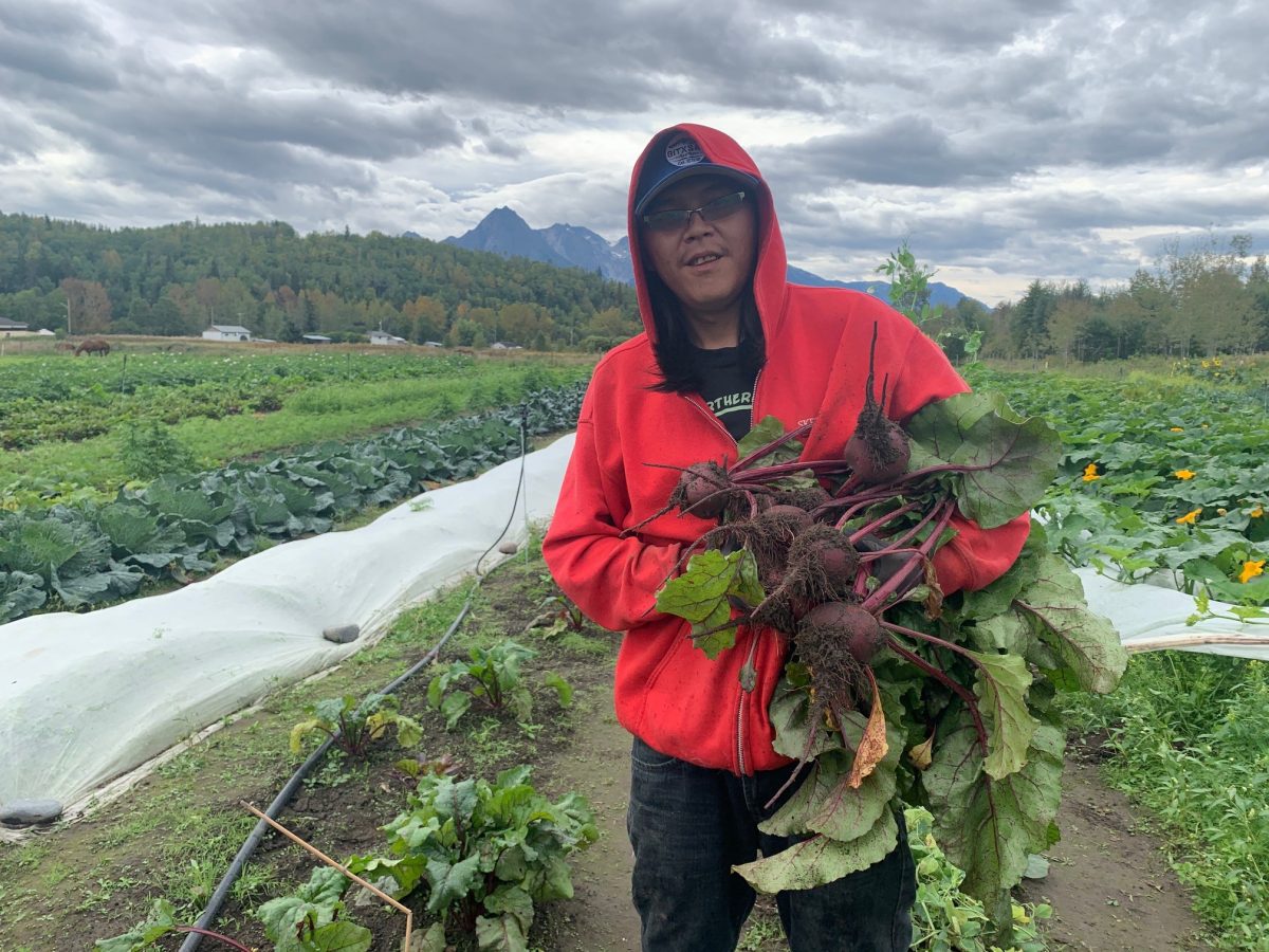 Farm School SikEDakh (Glen Vowell Band)
